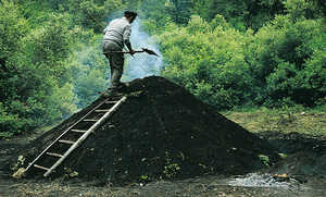 Carbón vegetal. Las piezas navales se desbastaban en los bosques.
  Este proceso producía grandes cantidades de leña, que era
  aprovechada para producir carbón. El carbón era imprescindible
  para alimentar los hornos de las ferrerías.