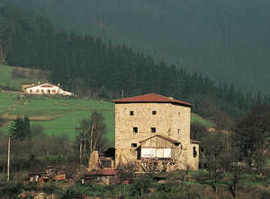 Zumeltzegi Tower, of Count of Oñati (Oñati)