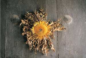 Eguzkilore, flor de símbolo solar que se colocaba en las puertas de las casas para portegerse de las brujas