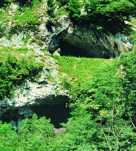 22. Cuevas de Aitzbitarte (Rentera), con ocupaciones del Paleoltico Superior.© Jess Altuna