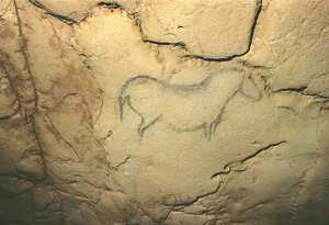 114. Horse at the beginning of the deepest panel in the cave.