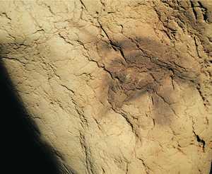 95. Gran cabeza de caballo pintada a tinta plana. Es la primera figura de la cueva y parece anunciar que ésta constituye un santuario del caballo.© Jesús Altuna