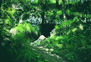90. Original entrance to the Ekain cave.© Jesús Altuna