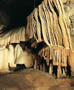 94. A view of the interior of the Ekain cave, with its beautiful stalagmite formations.© Jesús Altuna