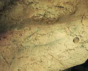 100. Salmón pintado, para cuyo ojo y parte anterior del dorso se han utilizado un hoyo natural de la roca y un reborde rocoso.© Jesús Altuna