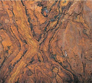 22. Detalle de veta de mineral del coto de Aizpea (Zerain).