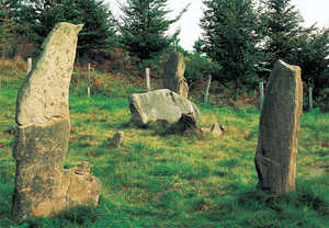 182. Megalithic complex at Mulisko Gaina (Hernani-Urnieta).© Lamia