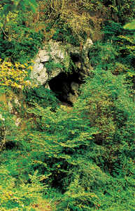 39. Grotte d'Iritegi (Oñati).© Lamia
