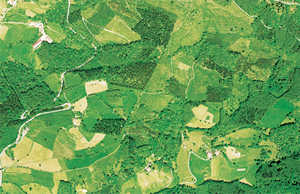 46. Photo aérienne de la zone et de l'emplacement du village d'Akutu.© Gipuzkoako Foru Aldundia: Lurralde Informazioko Zerbitzua, Xabi Otero, Grafismo